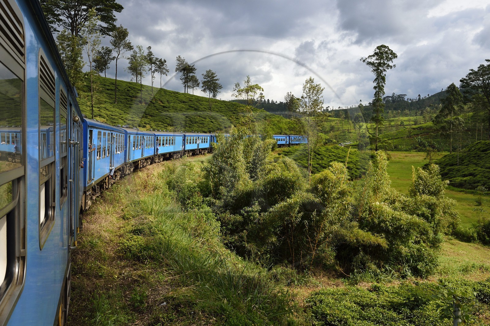 Sri Lanka, Province du Centre, trajet en train dans la région montagneuse de la culture du thé entre Hatton et Badulla, ici entre Rotagala et Talawakele