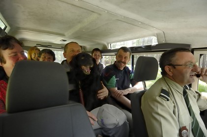 France, Loire et Cher, domaine du château de Chambord, visite guidée en 4x4 par François Coutant de l' ONF