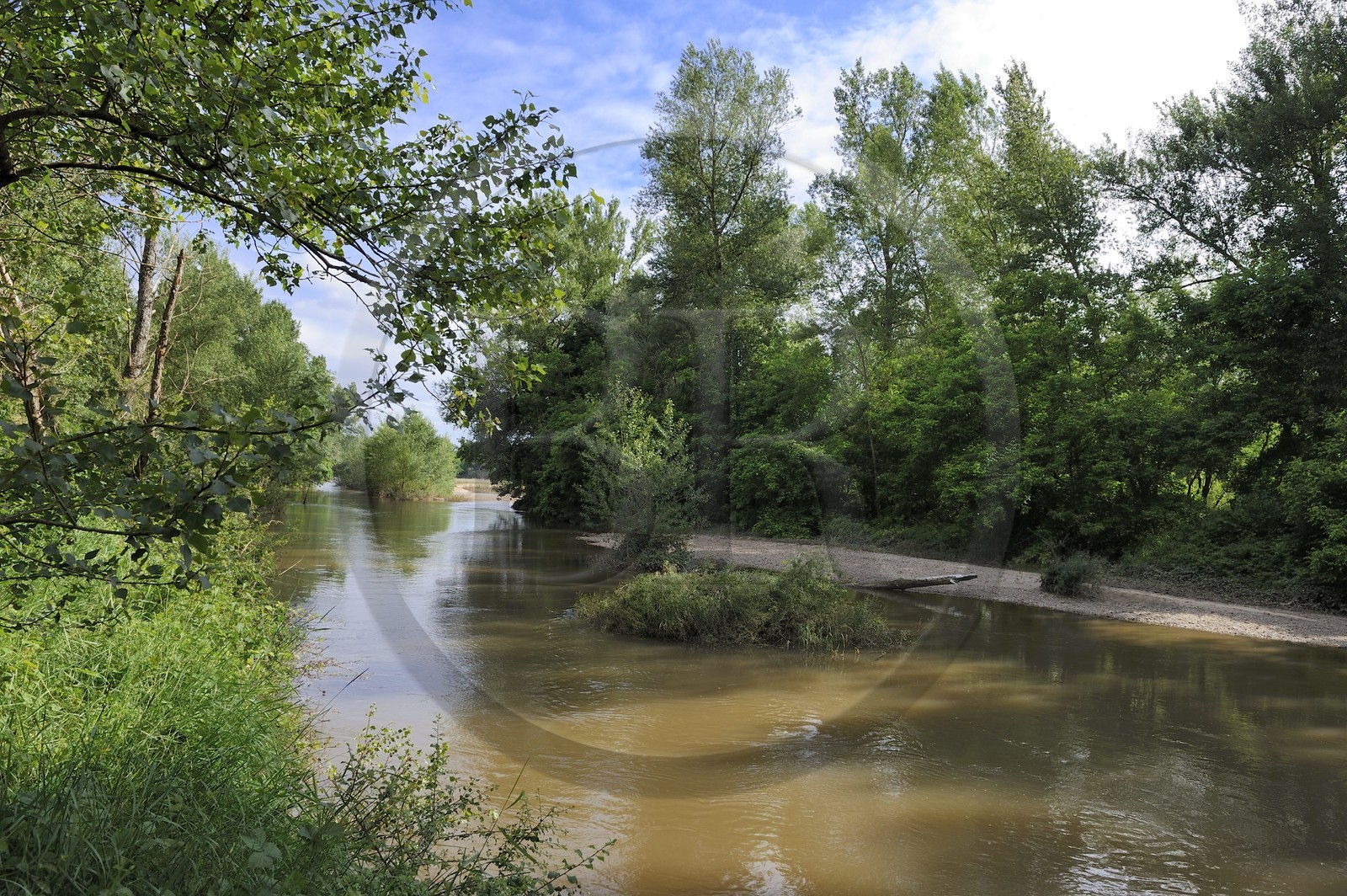 France, Nièvre (58), La Charité-sur-Loire, les bords de Loire le long du sentier du castor