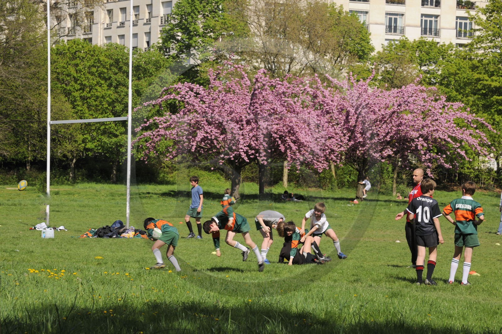 France, Paris (75), le Bois de Boulogne