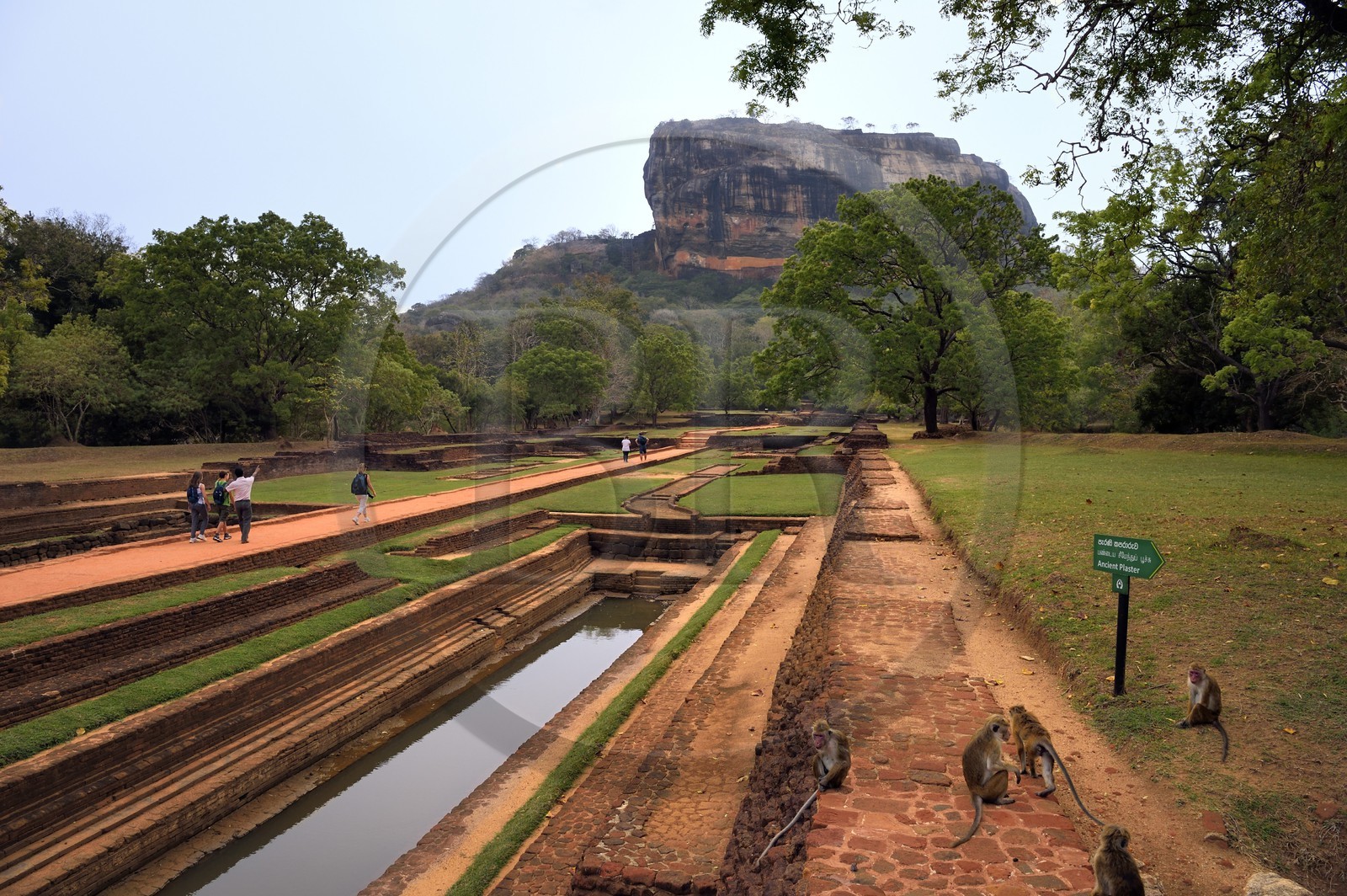 Sri Lanka, province centrale, district de Matale, Sigiriya, ville ancienne de Sigiriya classée patrimoine mondial de l'UNESCO, l'ancien palais forteresse du Rocher du Lion