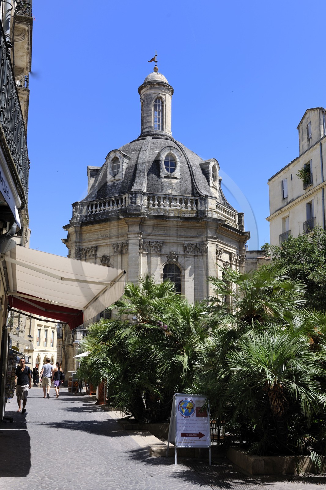 France, Hérault (34), Montpellier, centre historique, l'Ecusson, l'ancien amphitéâtre d'anatomie aujourd'hui la Chambre de Commerce et d'Industrie domine la place Saint-Côme