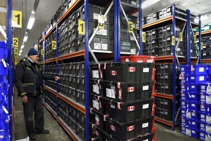 Norvège, Svalbard, Spitzberg, Longyearbyen, la Réserve mondiale de semences du Svalbard (banque de graines du Global Seed Vault), salle de stockage des semences artificiellement maintenue à -18°C, près de 900000 échantillons ont été déposés, provenant de 200 pays d'origine et de 73 instituts déposants