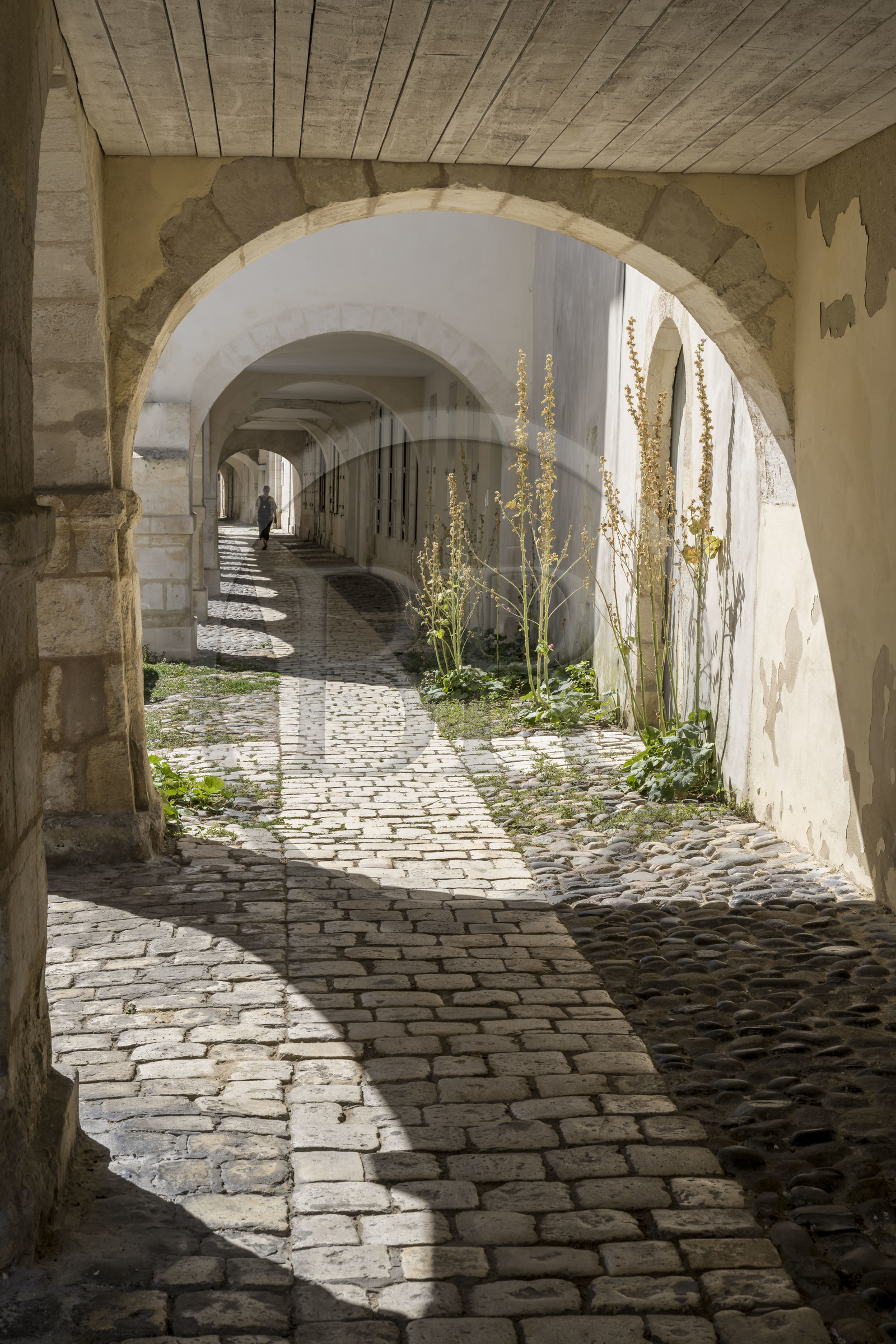 France, Charente-Maritime (17), La Rochelle, la rue de L'Escale est la seule de la vieille ville encore pavée avec des galets ronds provenant du lest des vaisseaux, elle est bordée d'arcades et possède de nombreux hotels particuliers