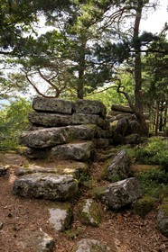 France, Bas Rhin, Mont Saint Odile, Pagan Wall