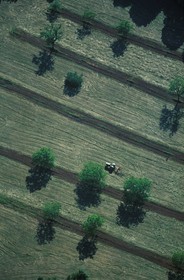 France, Correze, hay making near Collonges la Rouge village (aerial view)