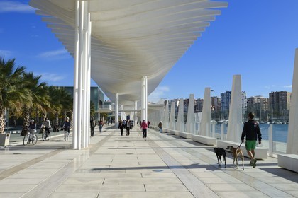 Espagne, Andalousie, Malaga, le front de mer sur le port, Palmeral de las Sorpresas