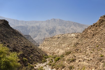 Sultanate of Oman, Ash Sharqiyah region, Bimmah, one of the many dry Wadi that descend to the sea