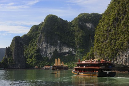 Vietnam, Quang Ninh Province, Halong Bay, listed as World Heritage by UNESCO at Bo Hon island
