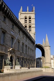 France, Hérault (34), Montpellier, centre historique, faculté de médecine et la cathédrale Saint Pierre