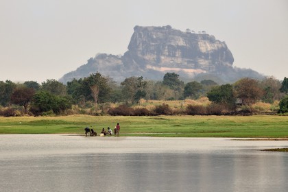 Sri Lanka, province centrale, district de Matale, Sigiriya, ville ancienne de Sigiriya classée patrimoine mondial de l'UNESCO, Rocher du Lion
