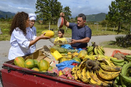 Panama, Chiriqui province, small town of Volcan, Cerro Brujo Gourmet restaurant, the chef Patricia Miranda Allen is delivered by an organic farmer