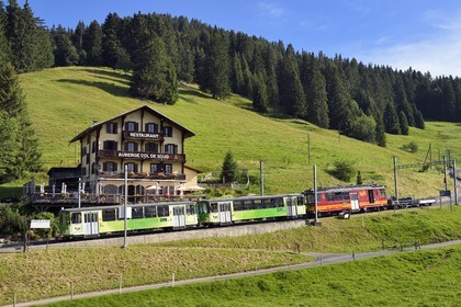 Switzerland, Canton of Vaud, Villars-sur-Ollon, train to the Bretaye pass station, stop at Col de Soud restaurant