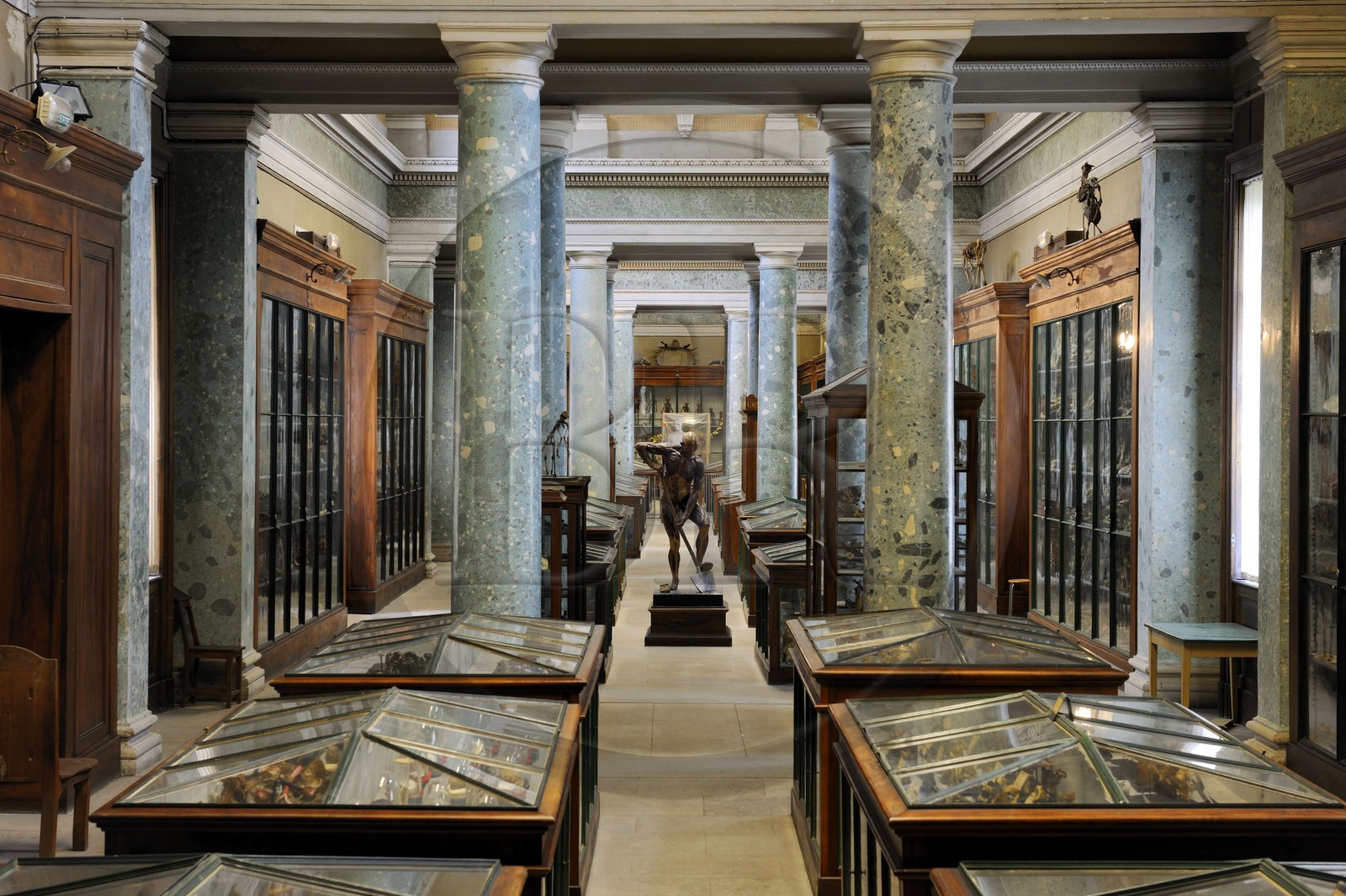 France, Hérault (34), Montpellier, centre historique, faculté de médecine, le musée d'anatomie