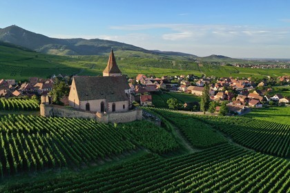 France, Haut-Rhin (68), Route des vins d'Alsace, Hunawihr, labellis