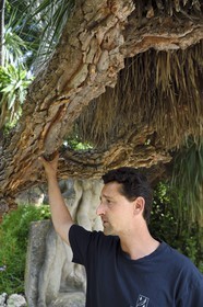 France, Alpes-Maritimes, Cannes, Noailles media library park in the Rothschild Villa, the gardener Antoine Py