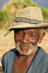 France, Reunion island (French overseas department), south coast, Petite-Ile, creole sugarcane cutter in a sugar cane field