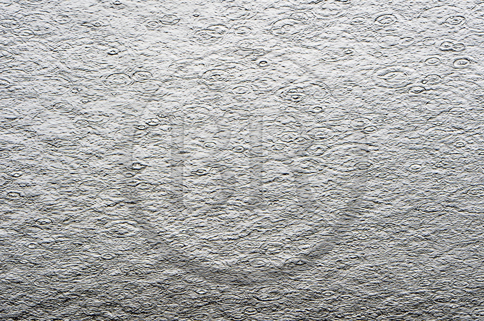 France, Var (83), Iles d'Hyères, parc national de Port Cros, Ile de Porquerolles, la Fondation Carmignac, pluie dans le bassin en transparence