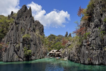 Philippines, Calamian Islands in northern Palawan, Coron Island Natural Biotic Area, lagoon and Permian Limestone of Jurassic origin cliffs
