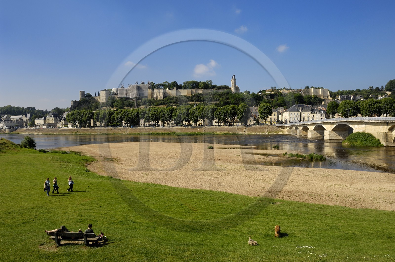 France, Indre et Loire (37), Vallée de la Loire classée Patrimoine Mondial de l'UNESCO, Chinon, vue de la ville et du château depuis la rive sud de la Vienne
