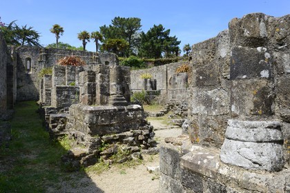 France, Finistere, Iroise Sea, Parc Naturel Regional d'Armorique (Armorica Regional Natural Park), Presqu'ile de Crozon, former abbey of Landevennec ruins