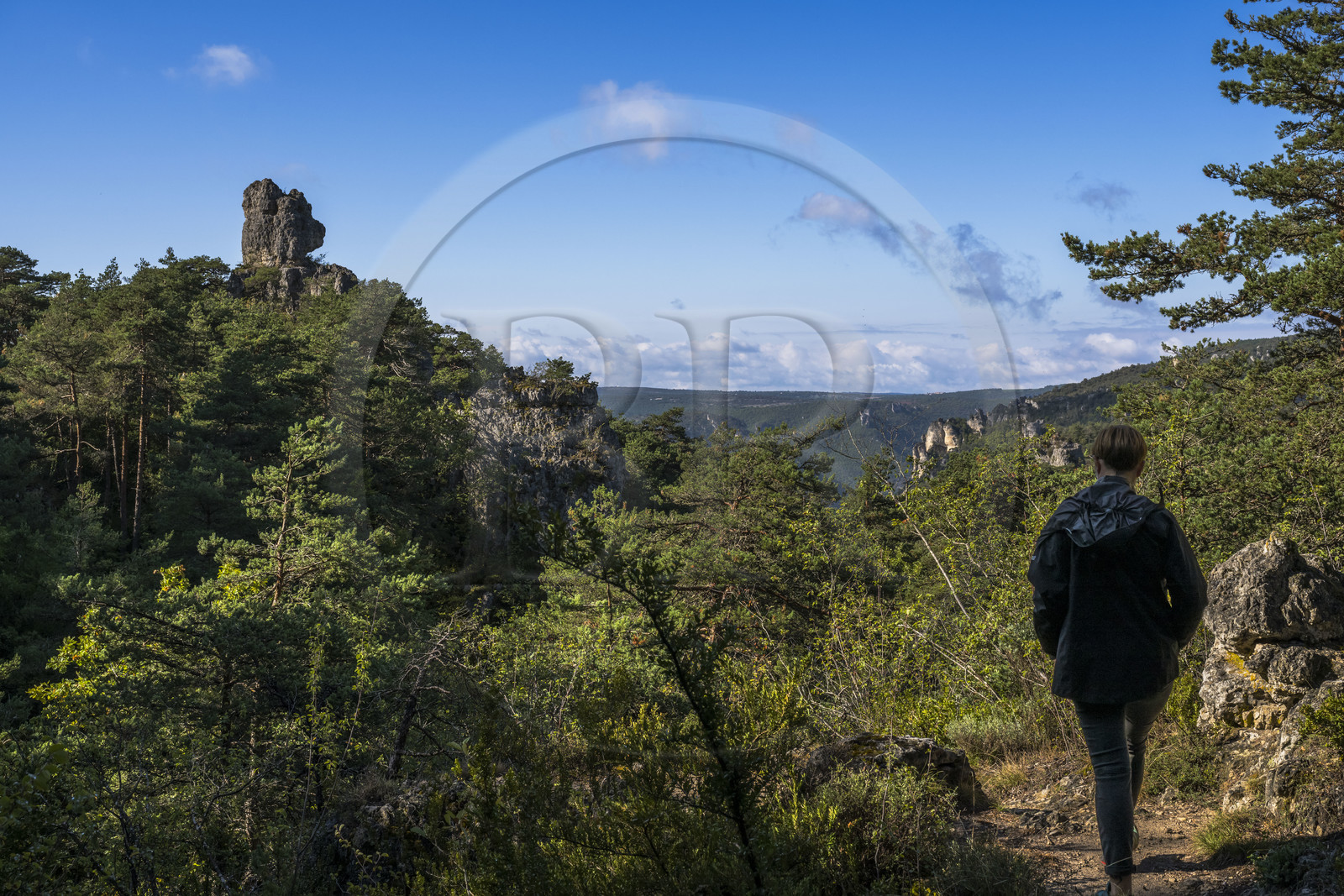 France, Aveyron (12), Causses et les Cévennes, paysage culturel de l'agro-pastoralisme méditerranéen, classés Patrimoine Mondial de l'UNESCO, Causse Noir, La Roque-Sainte-Marguerite, chaos de Montpellier-le-Vieux, la Cité de Pierres, le rocher appellé Tête d'Ours