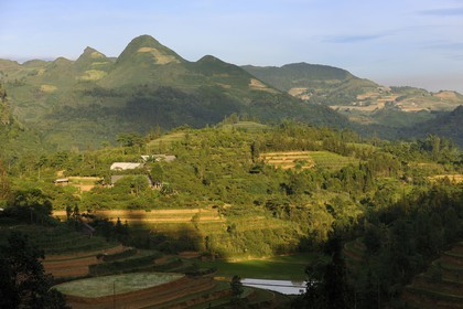 Vietnam, Lao Cai province, Bac Ha district, farms surrounded by corn and rice fields