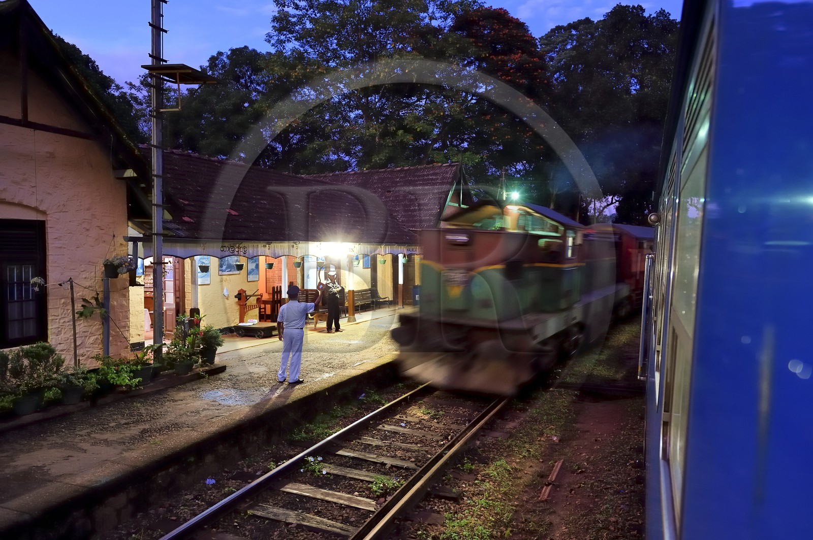 Sri Lanka, Province d'Uva, trajet en train dans la région montagneuse de la culture du thé entre Hatton et Badulla, Gare de Haliela, le chef de gare