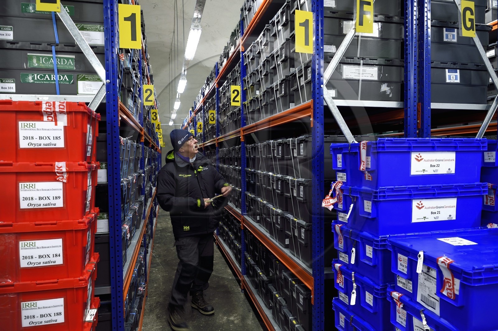 Norvège, Svalbard, Spitzberg, Longyearbyen, la Réserve mondiale de semences du Svalbard (banque de graines du Global Seed Vault), salle de stockage des semences artificiellement maintenue à -18°C, près de 900000 échantillons ont été déposés, provenant de 200 pays d'origine et de 73 instituts déposants