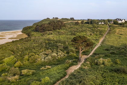 France, Morbihan, Groix Island, path along Grands Sables beach (aerial view)