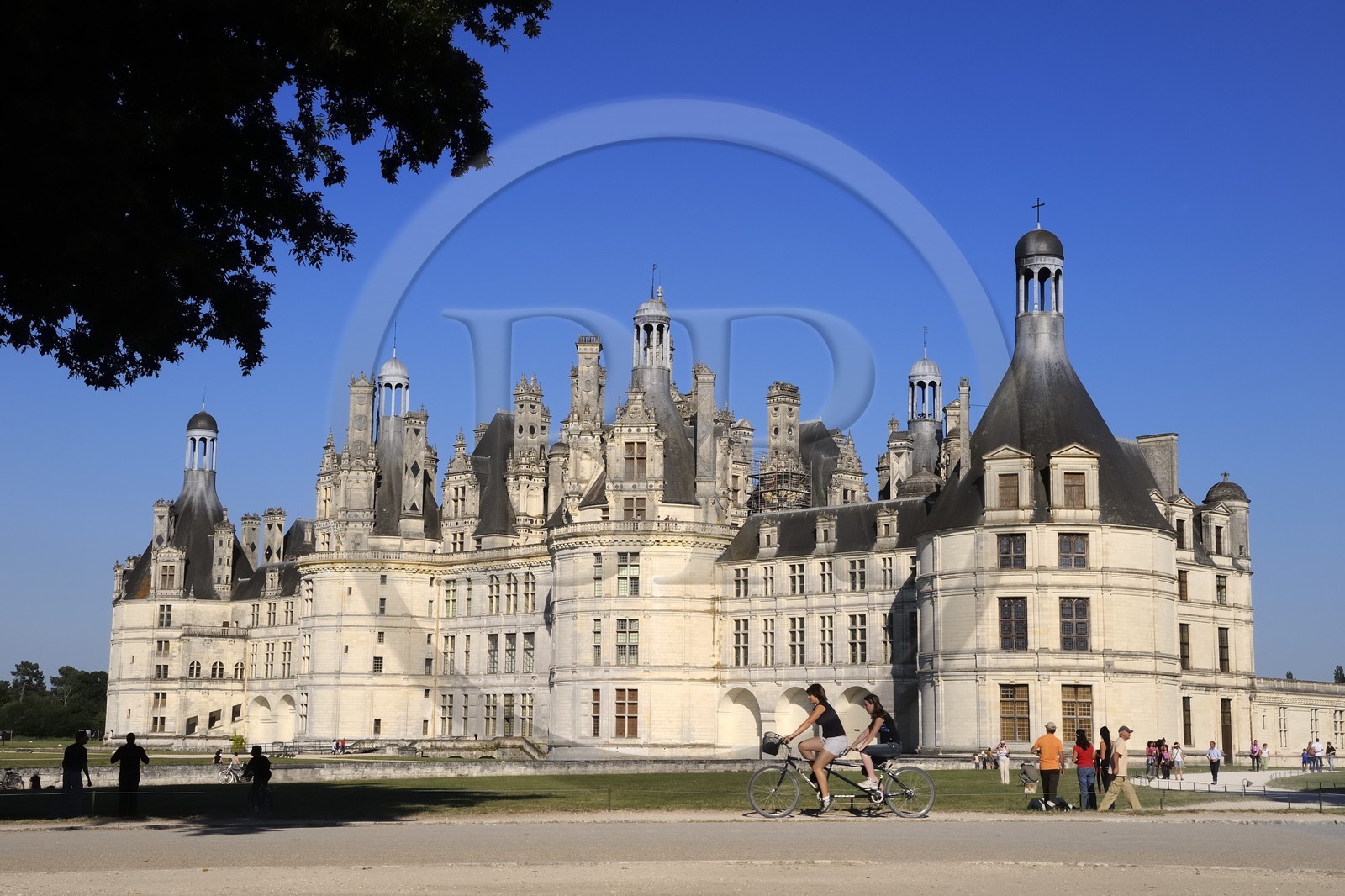 France, Loir et Cher (41), Vallée de la Loire classée Patrimoine Mondial de l' UNESCO, château de Chambord