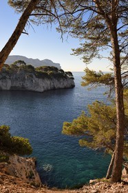 France, Bouches du Rhone, Cassis, National Park of the Calanques, Calanque de Port Miou (cove) (request for authorization necessary before publication)