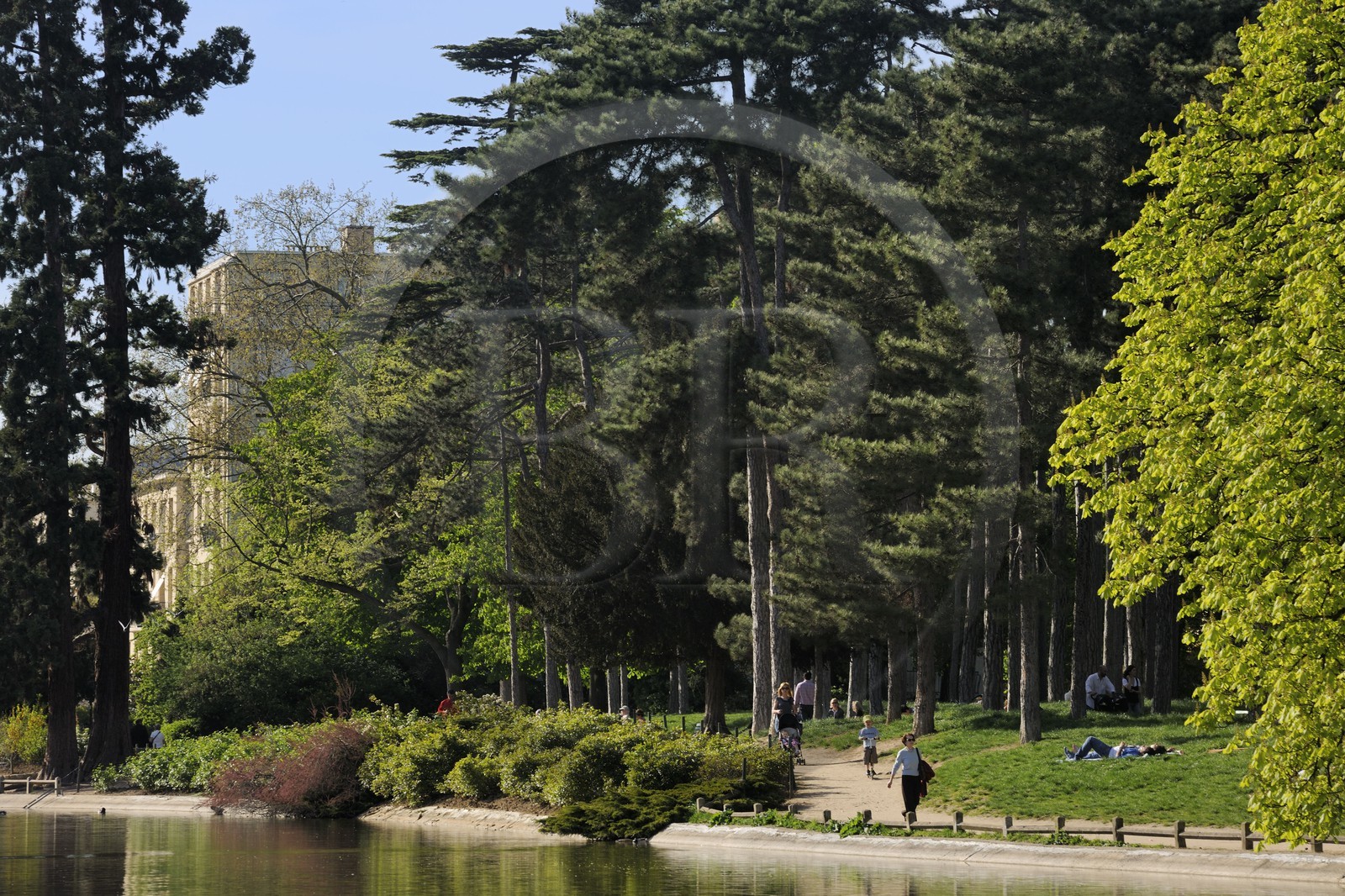 France, Paris (75), le Bois de Boulogne, mare Saint James