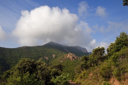 France, Var (83), Agay commune de Saint-Raphaël, massif de l'Estérel, col de l'évèque et montagne de la Sainte-Baume en arrière plan