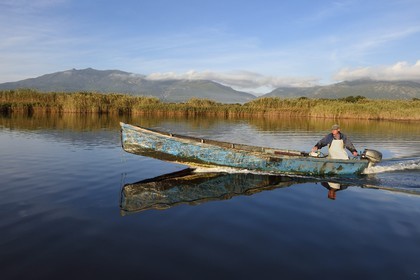 France, Haute Corse, fisherman in a boat on the pond of Biguglia (Stagnu di Chiurlinu), nature reserve of Corsica (RNC)