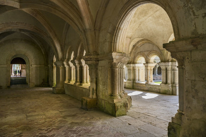 France, Côte-d'Or (21), Marmagne, l'abbaye cistercienne de Fontenay classée au Patrimoine Mondial de l'UNESCO, la salle capitulaire qui s'ouvre sur la galerie est du cloître