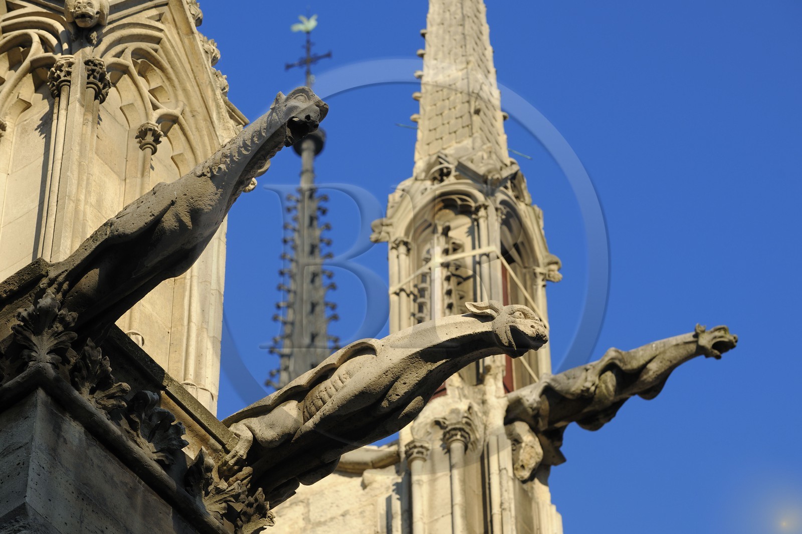 France, Paris (75), Ile de la Cité, cathédrale Notre-Dame de Paris, gargouilles de la façade nord