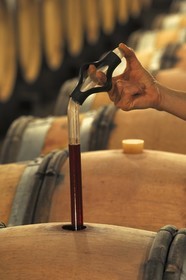 France, Côte d'Or (21), Gevrey-Chambertin, cave du domaine Drouhin-Laroze