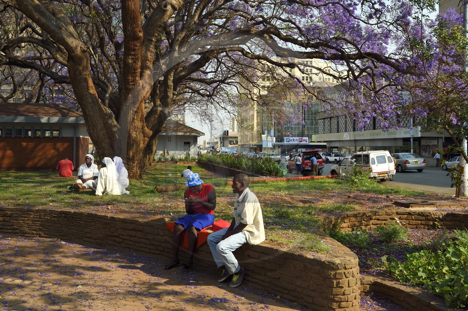 Zimbabwe, Harare, African Unity Square (anciennement Cecil Square), religieuses se reposant sous un jacaranda