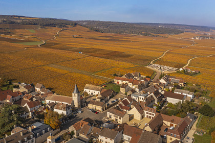 France, Cote d'Or, cultural Landscape of the climates of Burgundy listed as World Heritage by UNESCO, Route des Grands Crus (road of Vintage Wines), the vineyard and the Vosne-Romanée village (aerial view)