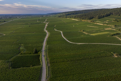 France, Cote d'Or, cultural Landscape of the climates of Burgundy listed as World Heritage by UNESCO, Route des Grands Crus (road of Vintage Wines), vineyard of the Côte de Nuits south of Gevrey Chambertin (aerial view)