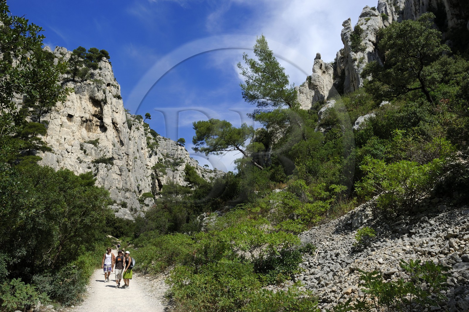 France, Bouches-du-Rhône (13), Cassis, le sentier menant à la calanque d'en Vau