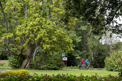France, Yonne (89), Auxerre, parc paysagé de l'Arbre Sec