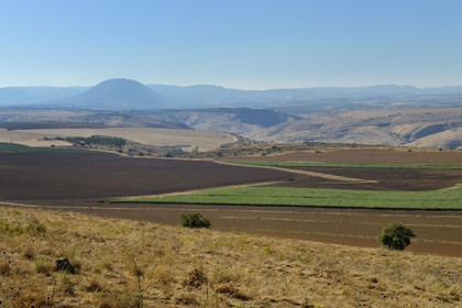 Israel, district du nord, Basse Galilée, réserve naturelle de Kokhav ha-Yarden et le Mont Thabor (Tabor) en arrière plan