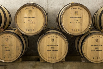 France, Cote d'Or, Climats terroirs of Burgundy listed as World Heritage by UNESCO, Beaune, Hospices de Beaune Winery, barrels in the cellar ready to receive the pressing of the harvests being prepared