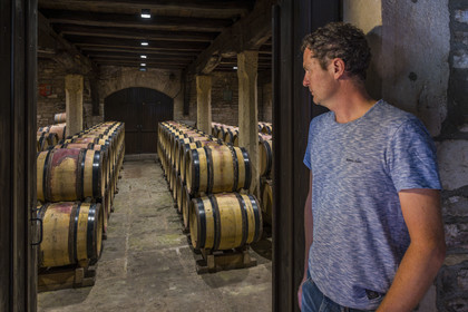 France, Côte-d'Or (21), Paysage culturel des climats de Bourgogne classés Patrimoine Mondial de l'UNESCO, Route des Grands Crus, vignoble de la Côte de Nuits, Gevrey-Chambertin, Domaine Dugat, Bertrand Dugat dans l'ancien Cellier des Dimes des évêques de Langres où il entrepose ses tonneaux vides ou juste après les vendanges