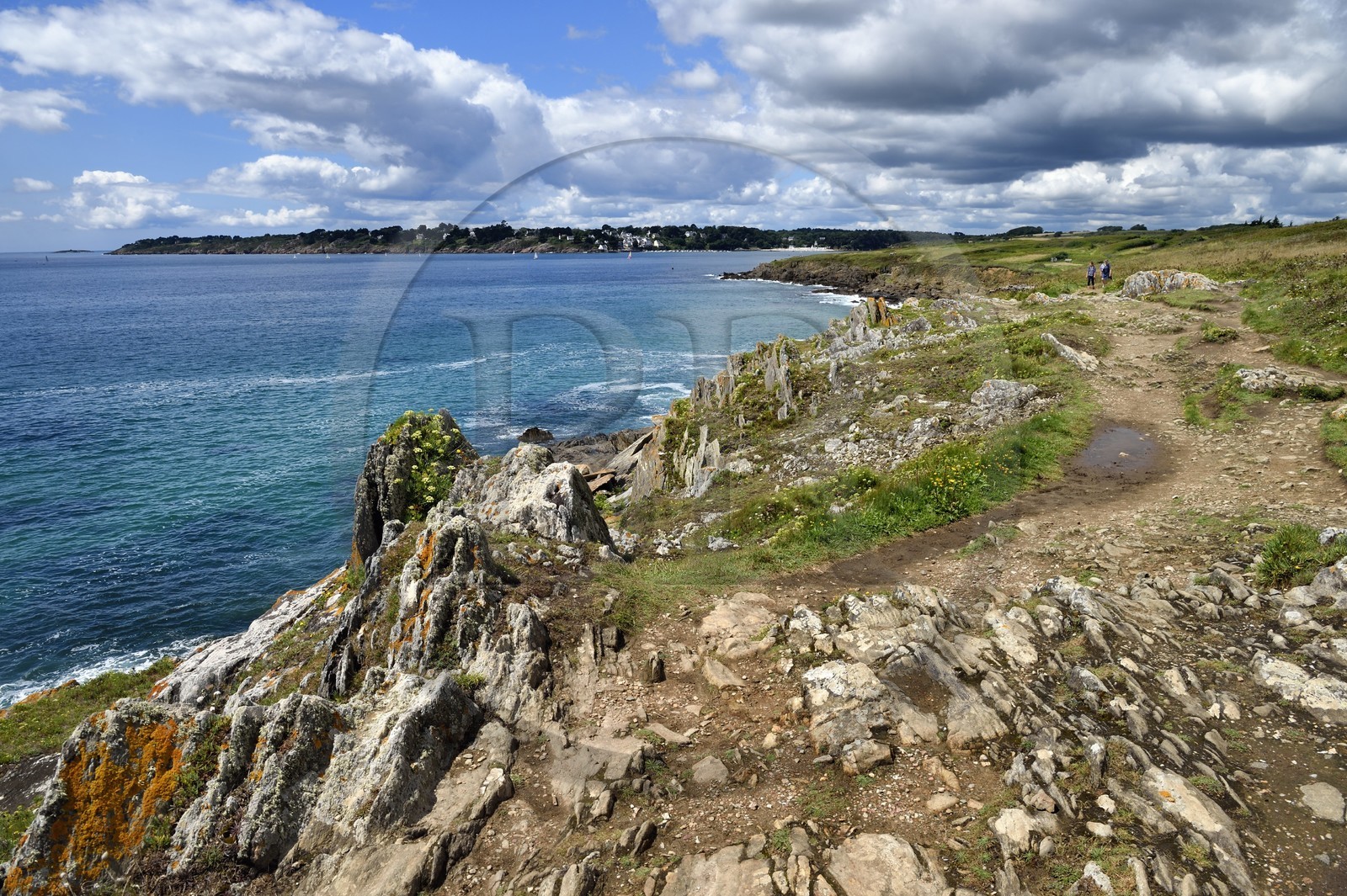 France, Finistère (29), Moelan-sur-Mer, le littoral entre Kerfany les Pins et la plage de Trenez sur le chemin de Grande Randonnée GR 34 ou sentier des douaniers