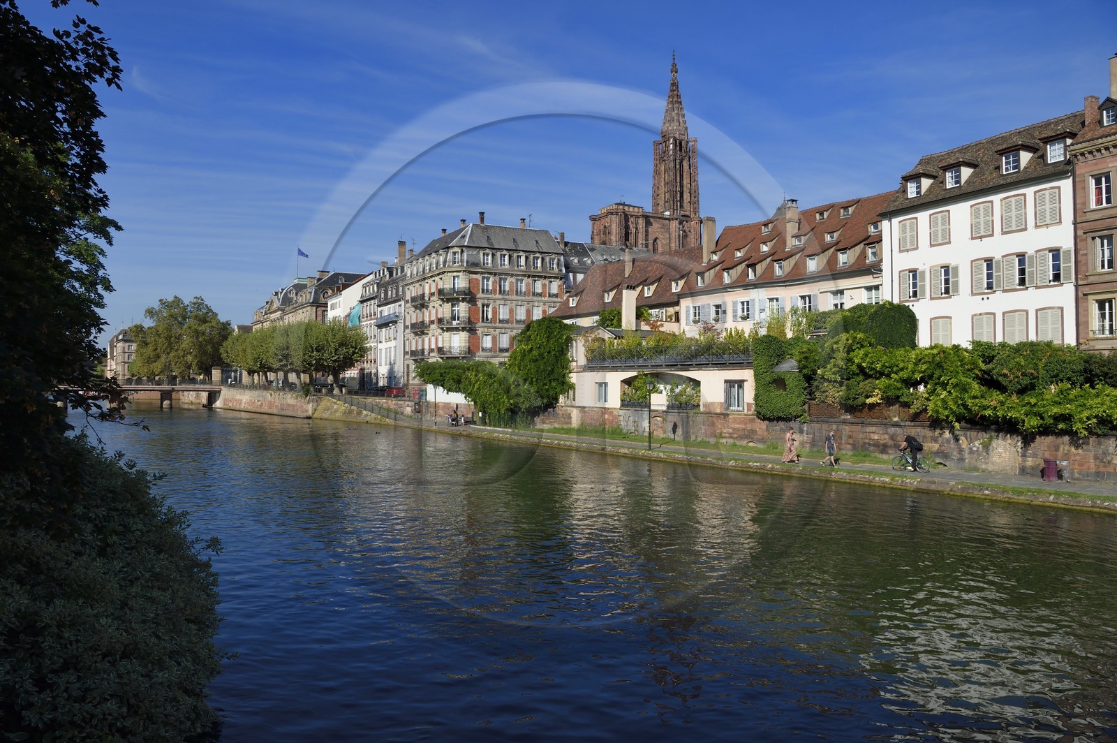 France, Bas Rhin, Strasbourg, banks of Ill River facing quai des Bateliers and the cathedral