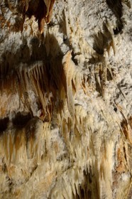 France, Ardeche, Saint Marcel d'Ardeche, the Grotte de la Madeleine (Madeleine Cave)