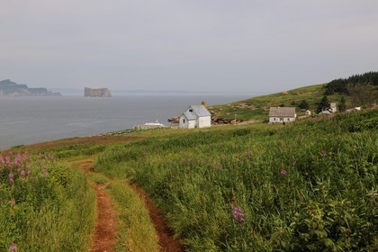 Canada, province de Québec, Gaspésie, île Bonaventure, village côtier de maisons de bois et le Rocher Percé